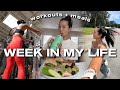 WEEK IN THE LIFE | Girl Who Loves to Run, Lift, and Eat! *My Workouts + Meals*