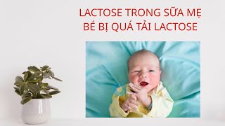 Tình Trạng Quá Tải Lactose