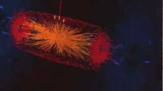 CERN People - Data Overload (1/3)