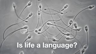 The most mysterious language on Earth isn’t human