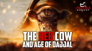 THIS RED COW MARKS THE AGE OF DAJJAL