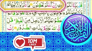 Learn Quran - Surah Ali Imran - 119 - Recitation with HD Arabic Text - pani patti tilawat
