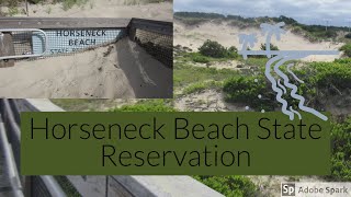 Horseneck beach state reservation