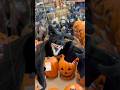 TERRIFYING BAT #homedepot #halloweeen #short