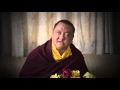 Shamar Rinpoche's response to the Private office of HH the Dalai Lama Part 2/3