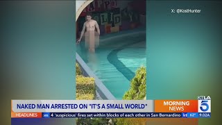 Man who stripped naked on Disneyland ride was on drugs, police say