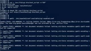 How to Configure Apache2 to use Ruby as CGI scripts