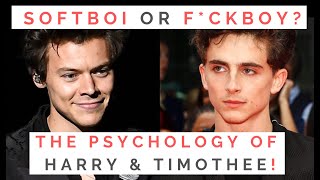 HARRY STYLES & TIMOTHEE CHALAMET: How To Tell If He’s A Softboi Or A F**kboy! | Shallon Lester