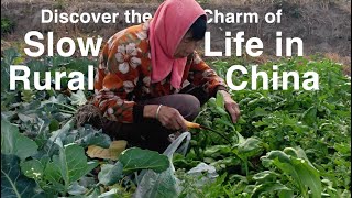 Chinese Grandma's Noon Ritual: Harvesting Fresh Vegetables🥬🇨🇳