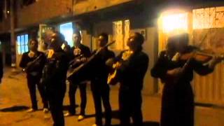 Inicio De Serenata En La Calle - Mariachi Juveniles Show Bogotá