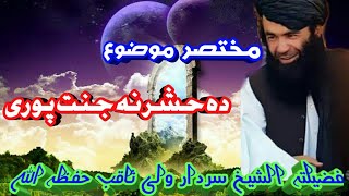 شیخ سردار ولی                                  مختصر سیرت دہ حشر نہ جنت پوری