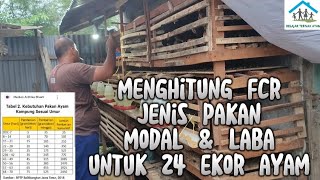 BAGAIMANA CARA MENGHITUNG RASIO PAKAN AYAM KAMPUNG