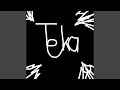Teka