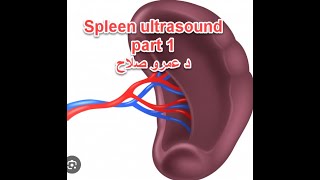 Abdominal U/S course : lecture 13a spleen part 1 د عمرو صلاح