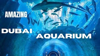 Exploring Dubai Mall Aquarium and Under water Zoo | Dubai Mall aquarium tour 2023