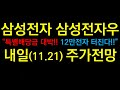 삼성전자 삼성전자우 “특별배당금 대박!! 12만전자 터진다!!” 내일(11.21) 주가전망