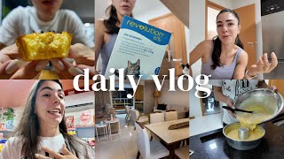 apartment updates, creamy corn cake, cat care, how to live in a home? | VLOG