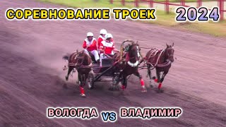 Horse Troikas Racing for the prize in memory of Polzunova A.M. - Vologda vs Vladimir