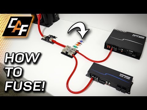 How do I know what amp My fuse is?
