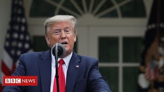 Coronavirus: Donald Trump "to suspend all immigration" during pandemic - BBC News