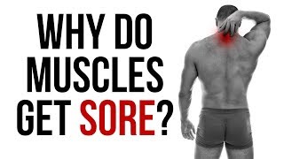 Why Do Muscles Get Sore?