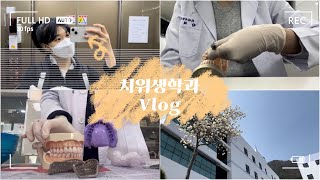 [VLOG] 치위생학과 3학년 🦷| 알지네이트 연습 | 대학교 수업