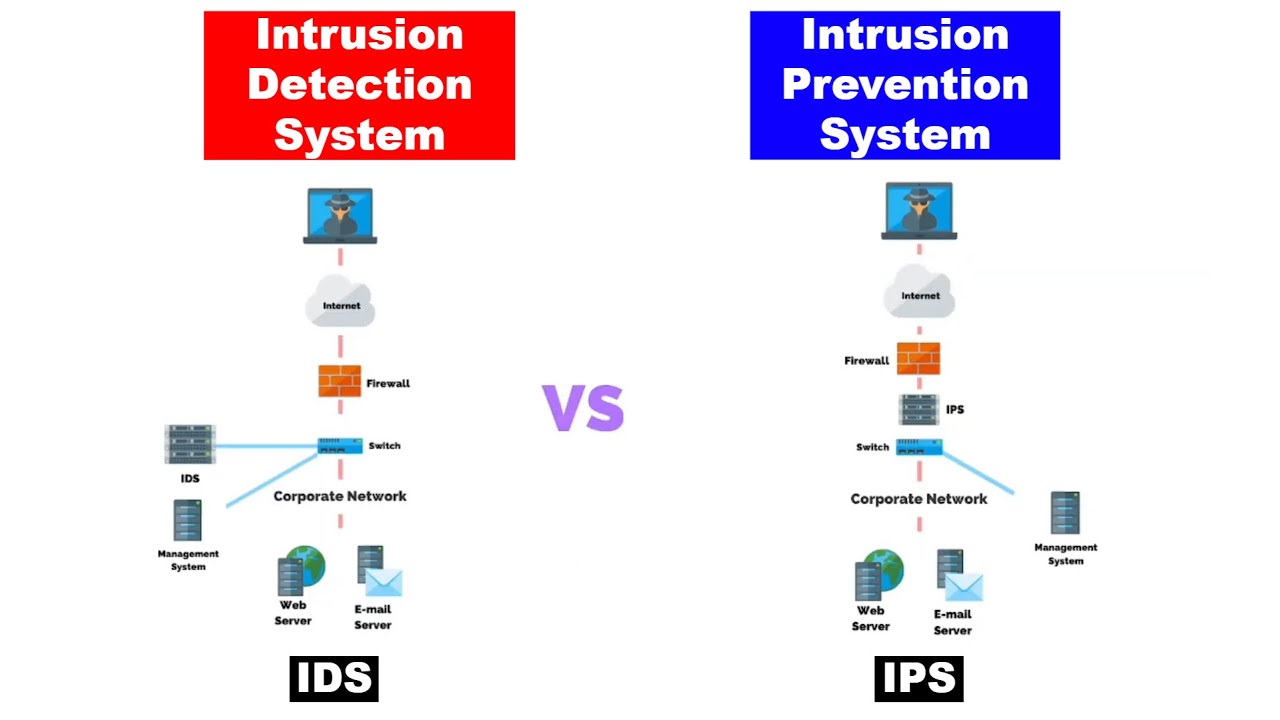 What Is A Network Intrusion Detection System At Duane Gordon Blog