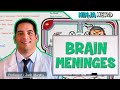 Neurology | Brain Meninges | Epidural, Subdural, Subarachnoid,  Intracerebral Hematomas