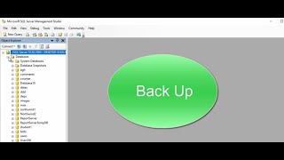 Back Up and Restore of SQL Server Databases