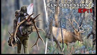 WY DIY Archery Elk Under 20 - BULL DOWN!