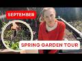 FULL GARDEN TOUR - September! Plus SPRING SEEDLING update - what to plant now - Temperate climate