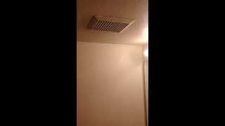 Water Fan