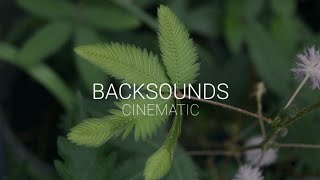 Backsound Music Cinematic Alam No Copyright /(Free To Use)
