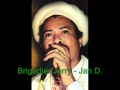 Brigadier Jerry - Jah D.