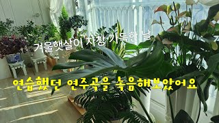 #수빙의빛남#마시키키시베#포항통기타