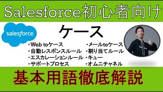 【ケース】Salesforce徹底解説【初心者向け】