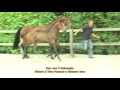 34 Cas van 't Gebergte