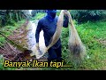 Memancing Puyu Di Ijok #gengdunia #fishing