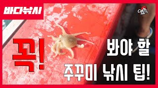 [4K] 주꾸미 낚시 가기 전에 꼭 봐야할 영상! 선상 쭈꾸미 낚시 ♥