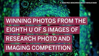 Photos: Winners of the 2022 U of S Images of Research Photo and Imaging Competition
