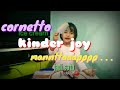 Cornetto Ice Cream Vs Kinder Joy || Akifa Naila