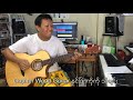 Gopher Wood Guitar and New Song  Zam Mung Review