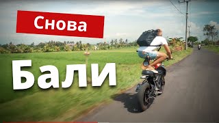 БАЛИ. Первые шаги. Жильё, аренда байка, достопримечательности.