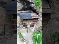 A single family in the deep mountains of Fengdu, Chongqing #travel #discoverchina