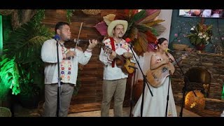 Tlacuatzin Son Huasteco | Huapango Music from Mexico