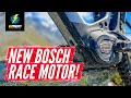 Crazy Fast! The All New 2023 Bosch CX Race Limited Edition