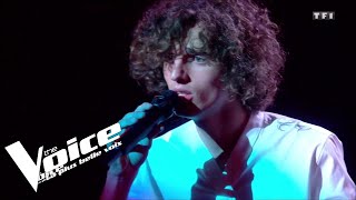 Michel Polnareff - GoodBye Marylou | Leonard | The Voice 2019 | Live Audition