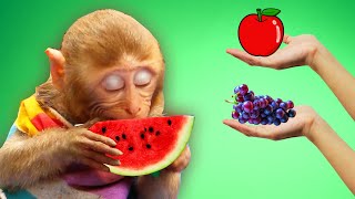Yummy Fruits monkey | Nursery Rhymes and Kids Songs