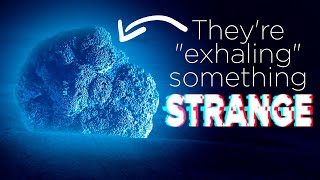 These Deep Sea Rocks SEEM to Be Breathing