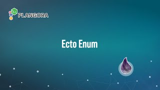 Ecto Enum
